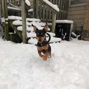 Meet your Posher, Ryleigh